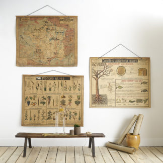 Anciennes affiches scolaires de la collection tableaux muraux d’Arman Colin