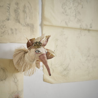 desaccord trophée mural birdie trophy head