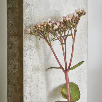 Jardinière des années 50-60 fibro ciment