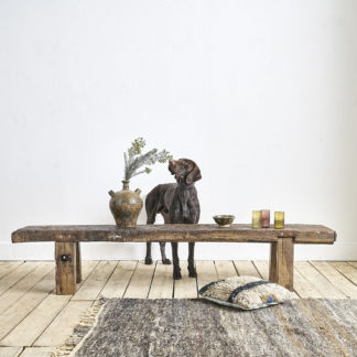 Table basse établi banc