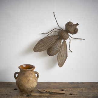 Insecte en vannerie