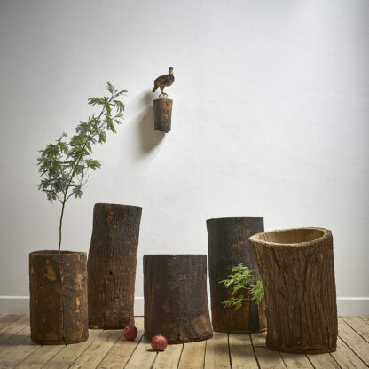 Bac primitif en bois