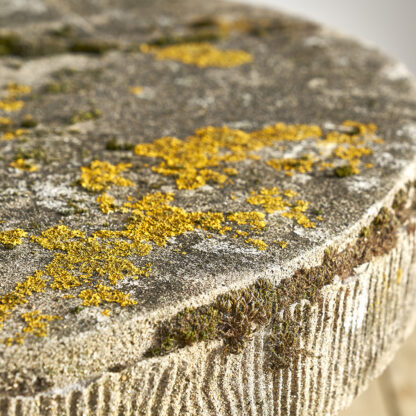 Table de jardin effet faux bois en béton. rocaille
