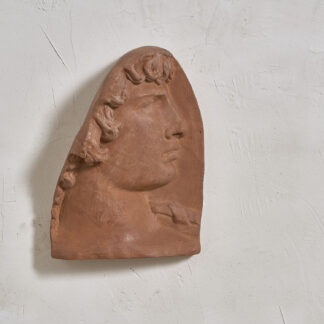 Profil d'Hercule