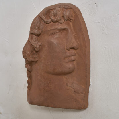 Profil d'Hercule