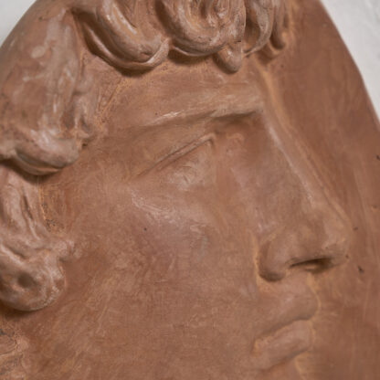 Profil d'Hercule
