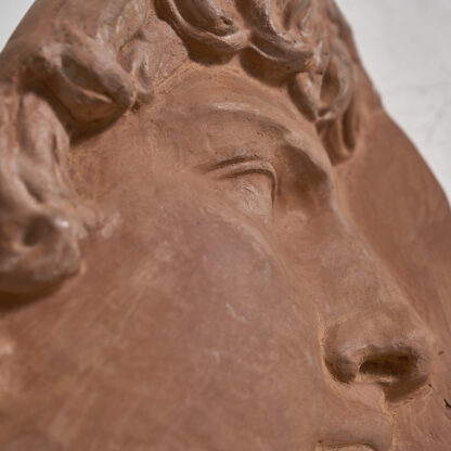 Profil d'Hercule