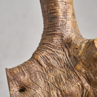 Grande lampe naturaliste