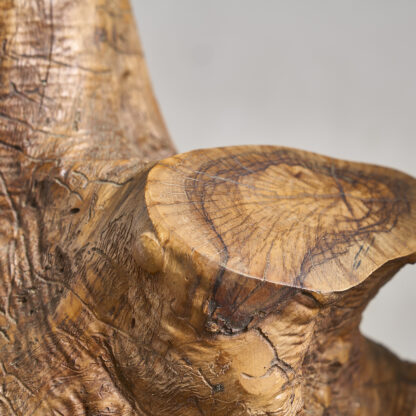 Grande lampe naturaliste