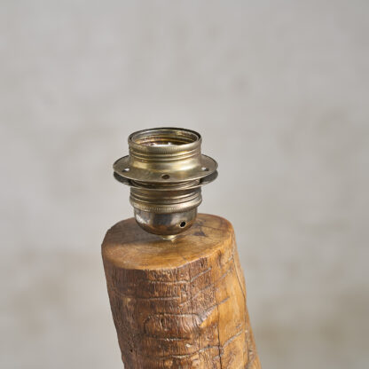 Grande lampe naturaliste