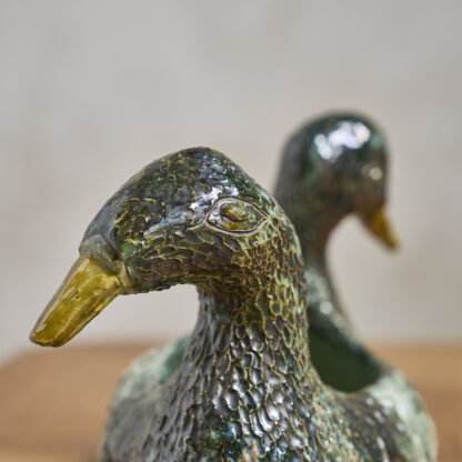 Le canard à deux têtes
