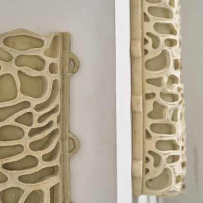 appliques aux formes organiques