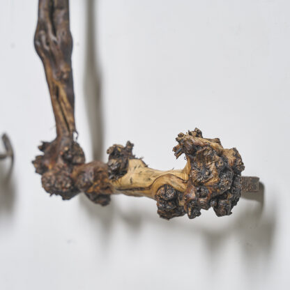 lettrages en ceps de vigne