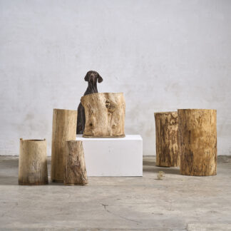 pot en bois tronc creux