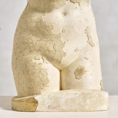 sculpture en platre de Venus