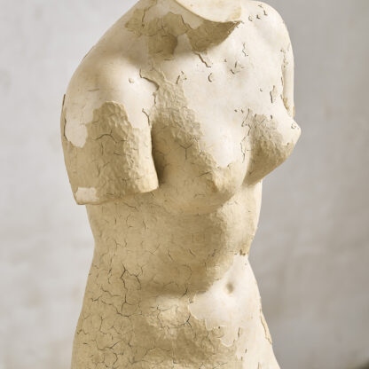 sculpture en platre de Venus