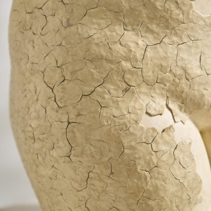sculpture en platre de Venus