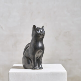 chat pichet