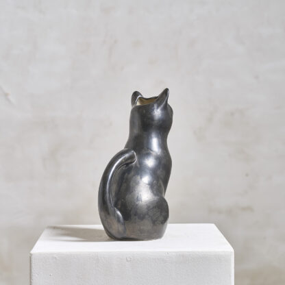 chat pichet
