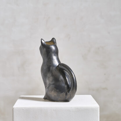 chat pichet