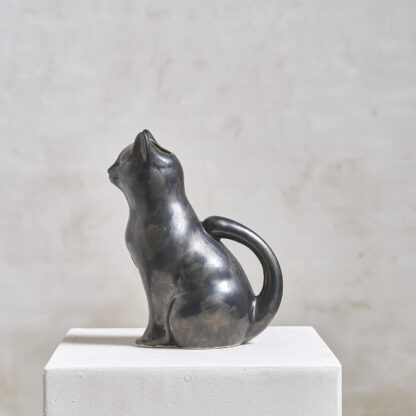 chat pichet