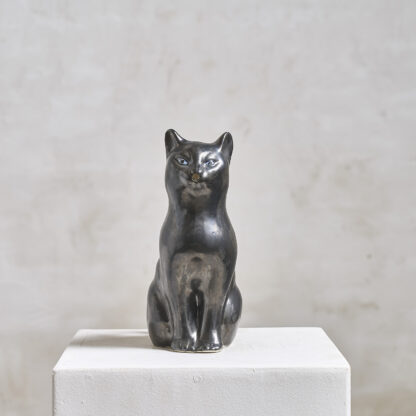 chat pichet