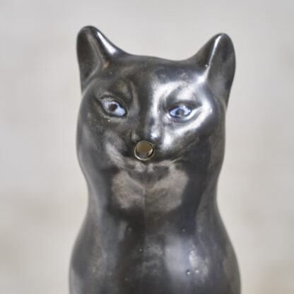 chat pichet